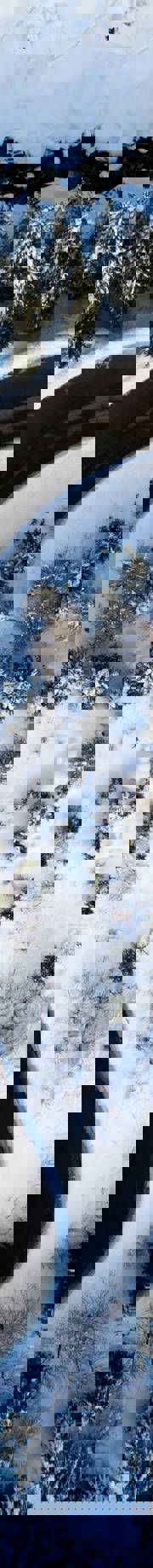 Decorative image illustrating 'TRACE Team Biographies'